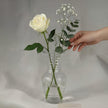 Serrana Glass Orta handmade vase 26cm — tapered ribbed handmade clear glass, 26cm x 12cm, for floral arrangements